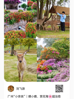 藏不住了！广州花都浪漫花海，被小红书达人发现了~