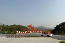 绽放在交旅融合中的“兰花草”图片