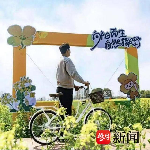 超千张优惠券来袭！常阴沙金秋乡村欢乐游正式开启，六大活动邀您嗨玩一季