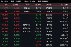 可转债ETF罕见获巨额增持，资金为何蜂拥而至？图片