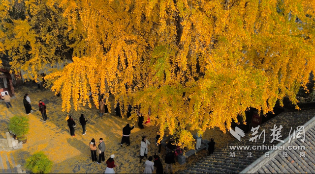 这5处宝藏景点 邀您一起邂逅诗意襄阳