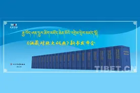 《汉藏对照大词典》新书发布会在成都举行图片