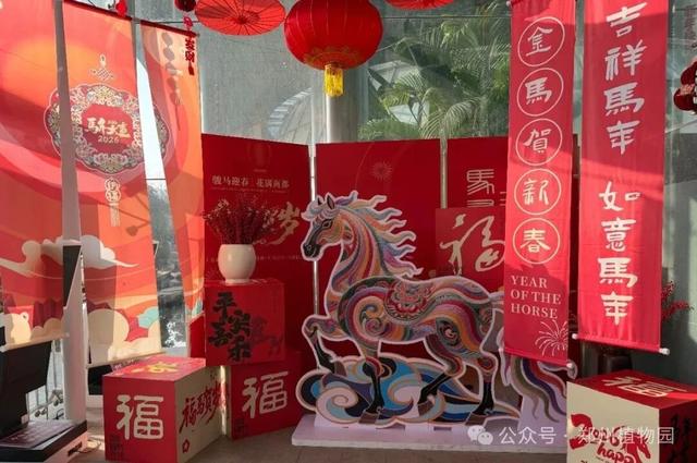迎春花展元旦开展！郑州植物园邀您沉浸式打卡新年限定花海