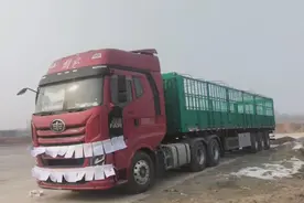 壹点帮办|刚买的新车首开即问题不断，售后维保厂家“车不对票”图片