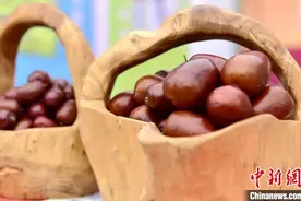 新疆兵团红枣产业如何实现高质量发展？图片