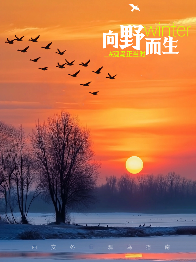 公积金提取限制取消！2026年1月起，这些政策有变化