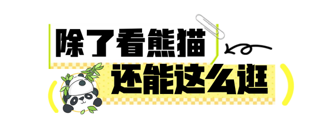 欢迎来到熊猫的家！保姆级攻略请收好！