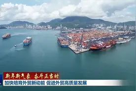 新年新气象 奋斗正当时丨加快培育外贸新动能 促进外贸高质量发展图片