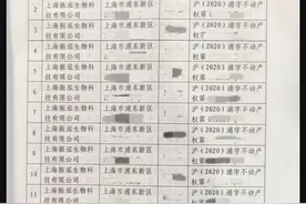 张庭96套房产、6亿元银行存款解封，代理律师：目前没有撤案图片