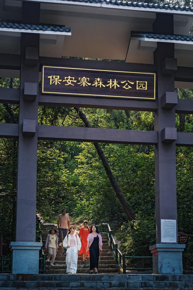 来新洲体验不一样的风景 一路向东，登高观鸟看江豚