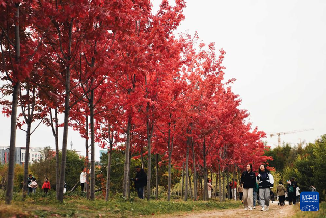 长春：秋色缤纷