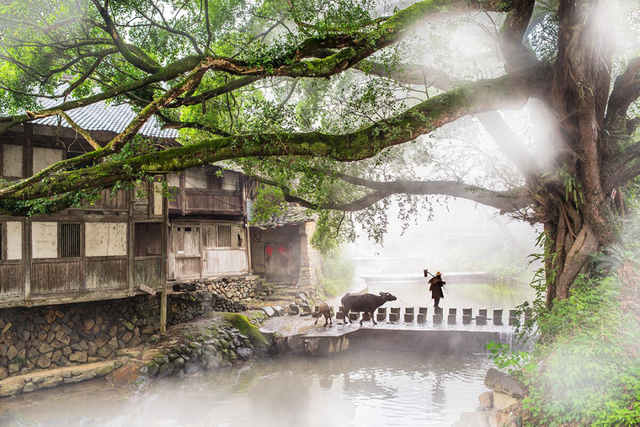 周末去“村”游！这个村人少景美，99%的福安人都不晓得~