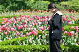 上海气温将稳步上升下周二逼近26℃，大回暖后免不了大降温图片