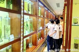 济南市市场监管局食药检测中心：让中药“鉴真辨伪”惠及更多市民图片