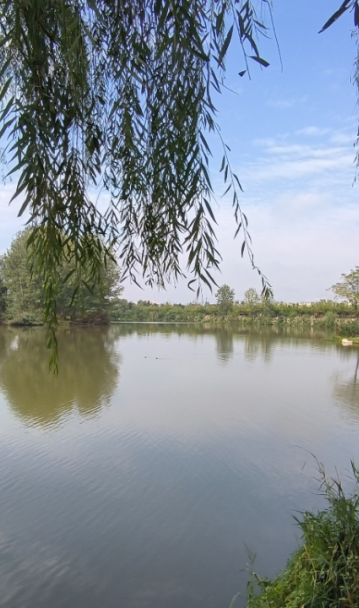 秋意浓，漫步图鉴就在→