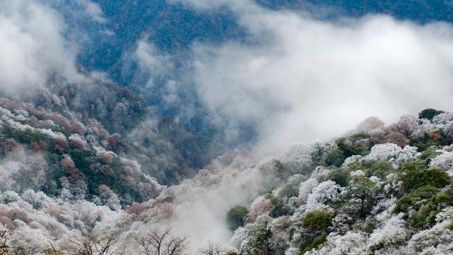 银装素裹梵净山