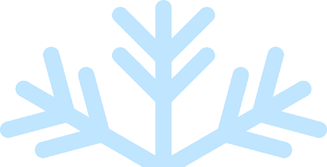 大雪 | 时节赋新颜，紫花开满园