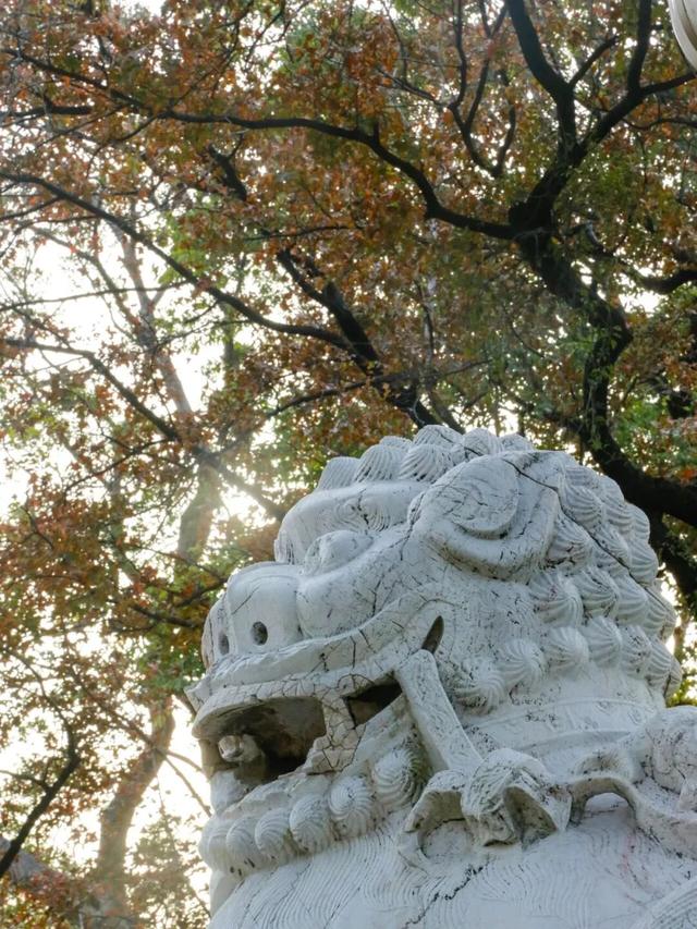 生日快乐！今天，它104岁啦！