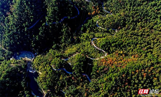 岁暖时刻丨无需远行，中坡山便是怀化的诗与远方