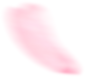 最美松湖 | 这棵“顶流”异木棉到底有多顶？