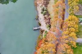 油画般的季节来临！世纪公园、共青森林公园……层林尽染的公园不要错过，一大波美图来了图片
