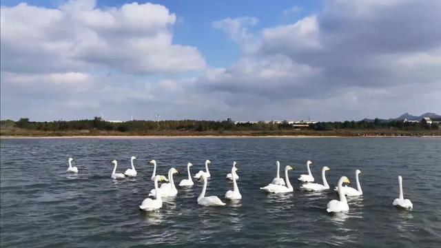 “顶流”又来了！超800只了！