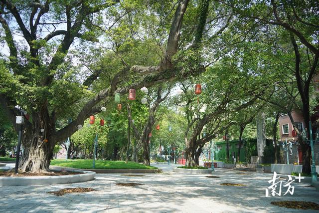 百年中山公园将全新开放，东莞城工集团以匠心守护城市记忆