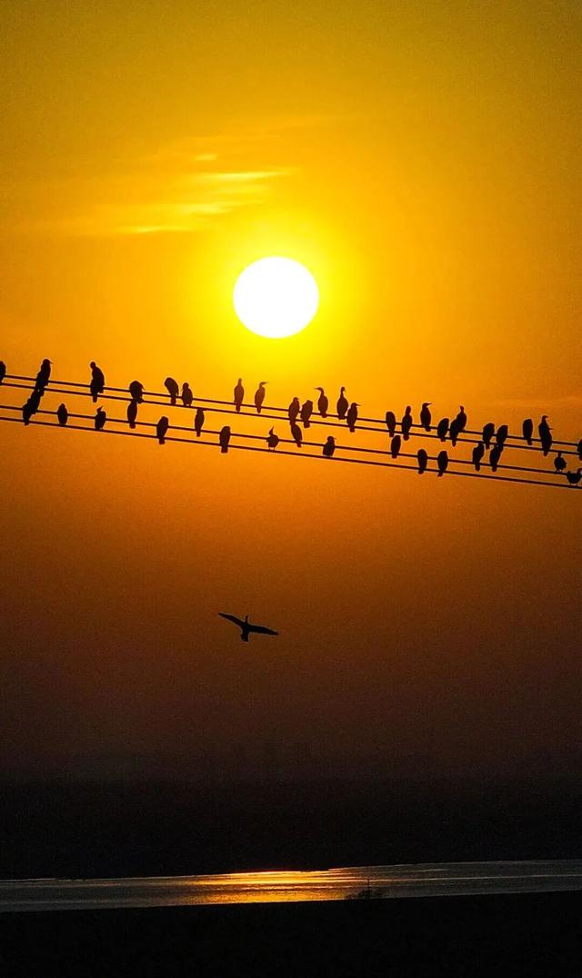 这份“河南冬日色卡”，每一帧都是壁纸