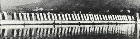 13岁小孩发明阿基米德的死亡射线？"熊孩子"还把细菌送上太空？