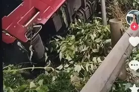 已证实！35岁网红卡车司机突发车祸遇难图片