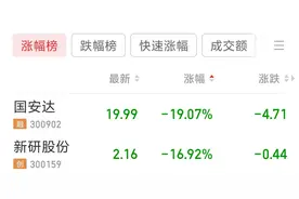 新研股份提示或被“*ST”，排名跌幅榜第二！此前预计最多亏损4亿元，净资产为负图片