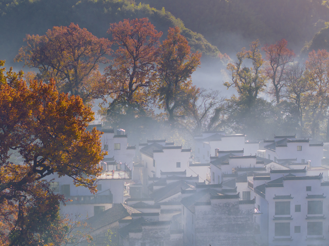 全国红枫观赏地“组局”，上饶婺源入选“游客喜爱的热门赏叶目的地”