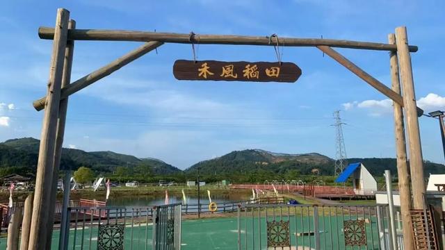 “双节”来四会！禾风稻田农场喊你：白天撒欢、夜晚追光，美味还管够！