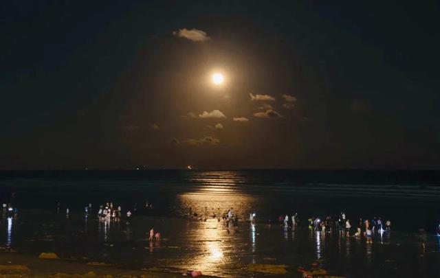 南海露营攻略：邂逅星辰大海 沉醉湿地松林