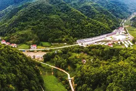 “一片林”带富一方人图片