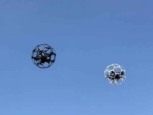 “空中能手”现身同心公园！