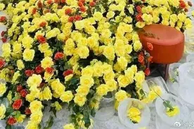 刘亦菲提名白玉兰奖最佳女主角，你还记得“冰封黄玫瑰”吗？图片