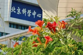 镜头下的北京科学中心｜凌霄花向上而生图片