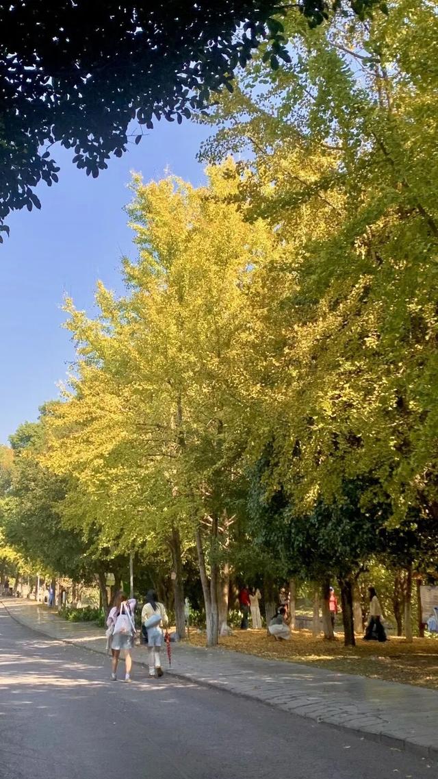 封神级美景！初冬的桂林，宛如打翻的调色盘