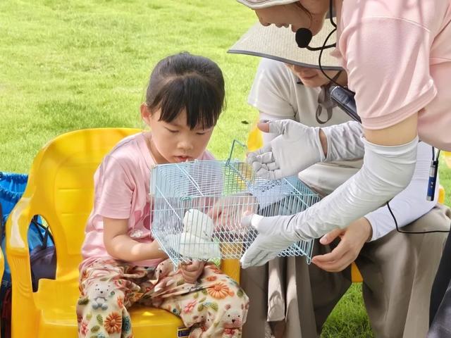暑假遛娃新姿势！星湖暑期亲子研学盛宴：仙鹤、萌宠、虫趣全解锁～