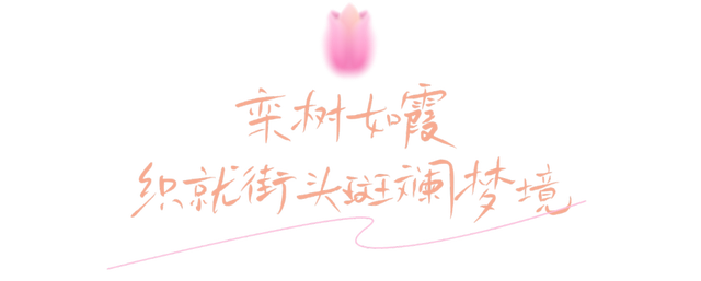 龙华，花海“大爆发”