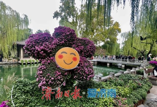 一年四季 泉在济南丨提前探营！趵突泉第46届金秋菊展静候绽放