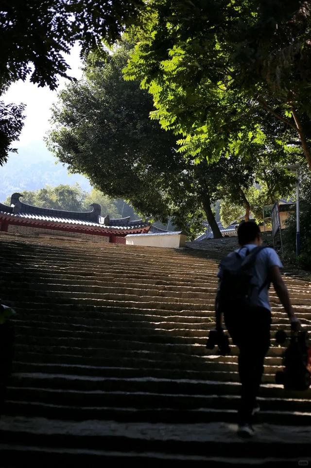 重阳登高赏秋！宁德这6座山千万别错过