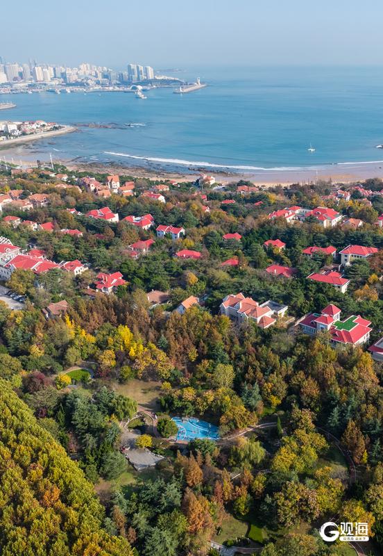 海韵+汇筑+绮景！青岛初冬的浪漫被具象化了