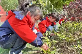 谷城城南幼儿园：“植”此青绿 “童”赴春光图片