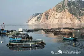 八一特辑·长岛岁月 | 八一感言图片
