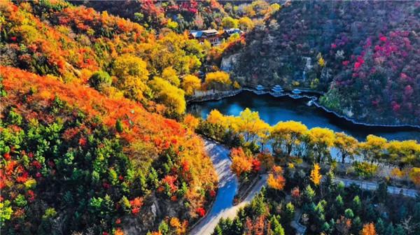 漫游历下 畅玩一夏丨康辉旅游集团山东国际旅行社推出“泉韵乡野·诗意栖居”微旅游产品