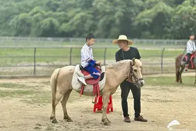 相约三月三 浪漫广西行｜走进广西德保 看“小矮马”如何带动“大产业”图片