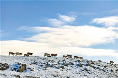 激活冰雪“冷资源” 打造旅游“热产业”