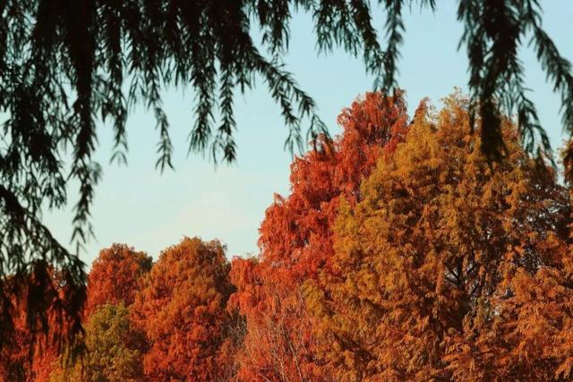 旅超·域见宝山｜马上出发！新春深度游、酒店休闲、邮轮度假尽在宝山！